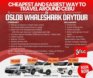 VAN RENTAL - OSLOB DAYTOUR