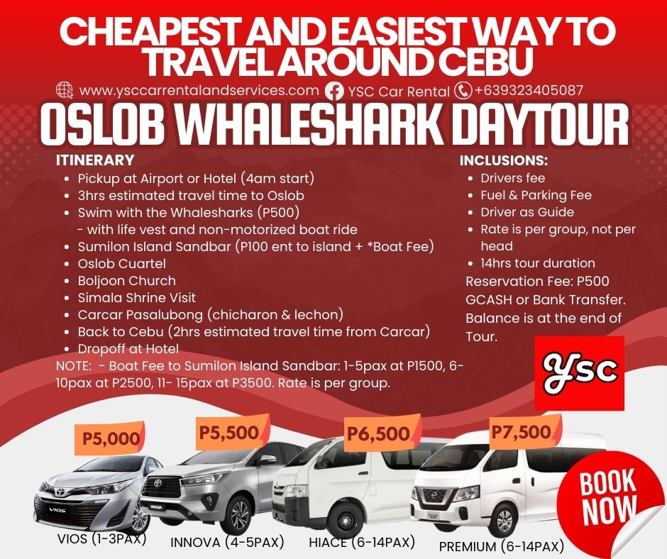 VAN RENTAL - OSLOB DAYTOUR