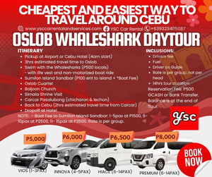 VAN RENTAL - OSLOB DAYTOUR