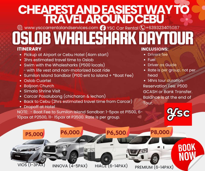 VAN RENTAL - OSLOB DAYTOUR