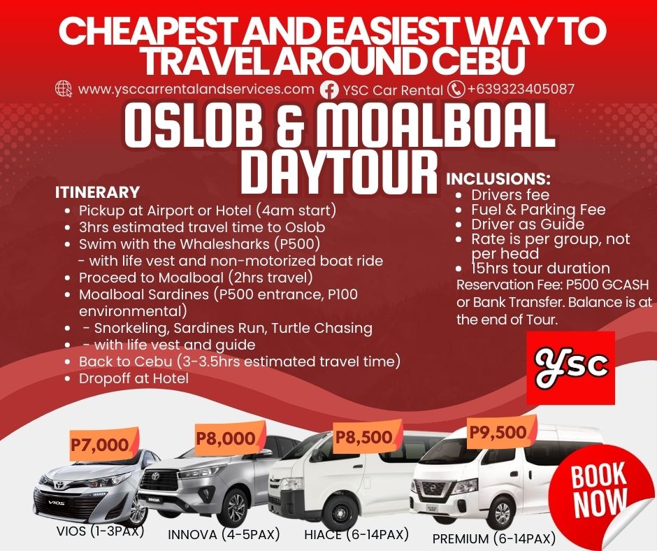 VAN RENTAL - OSLOB AND MOALBOAL DAYTOUR
