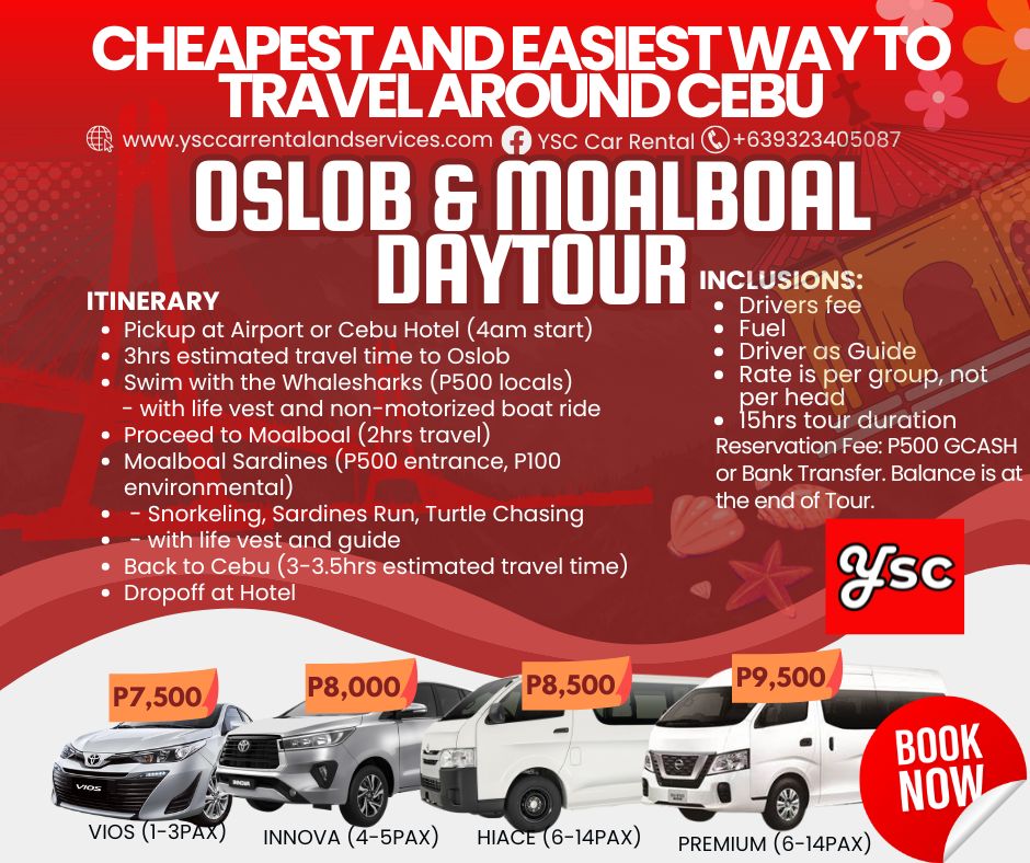 VAN RENTAL - OSLOB AND MOALBOAL DAYTOUR